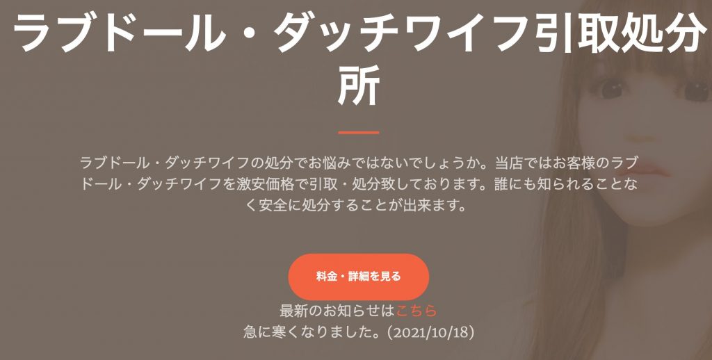 ラブドール・ダッチワイフ引き取り、処分
